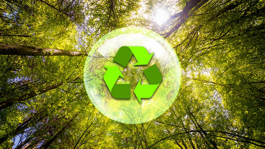 Let’s Pledge for Green: Tips to Save the Environment after the Holiday Season