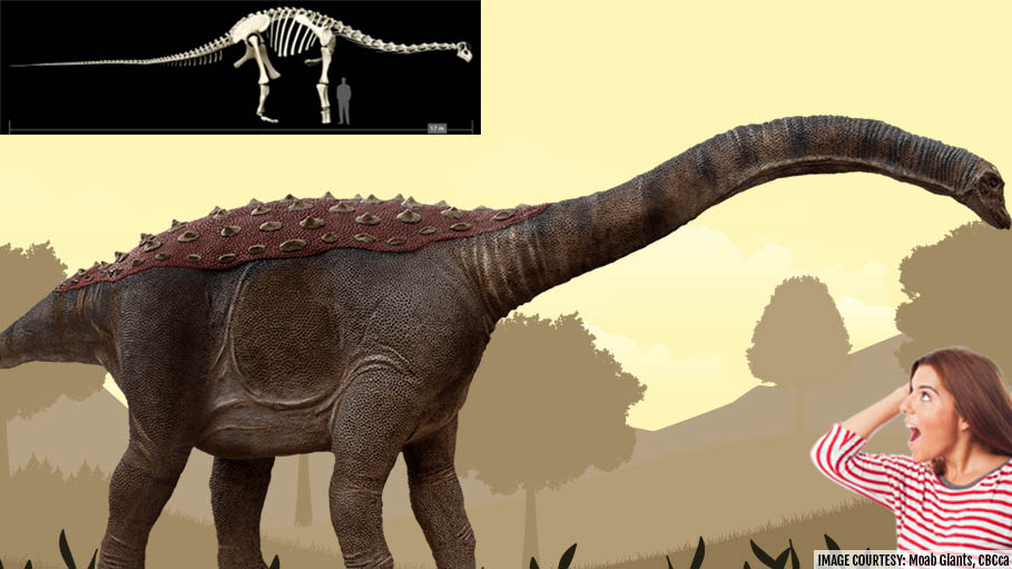 New Revelation with the Discovery of New Species of âTitanosaurâ