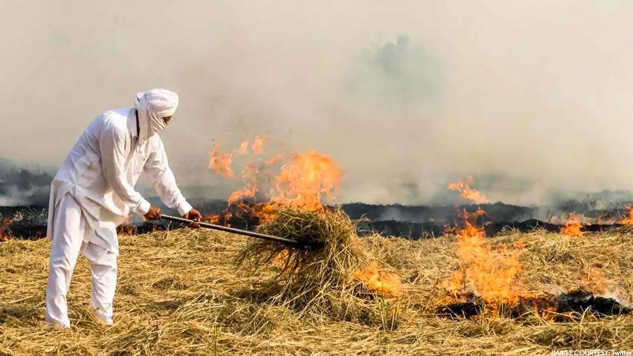 Delhi's Air Quality Likely to Worsen in Coming Days Due to Spike in Farm Fires