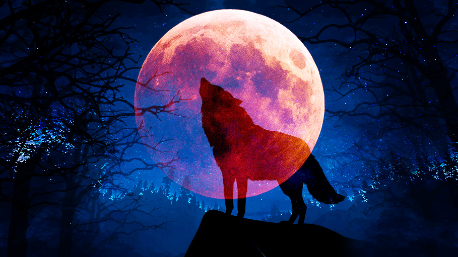 ‘Super Blood Wolf Moon Eclipse’ Should Be on Your Weekend ‘To Do’ List