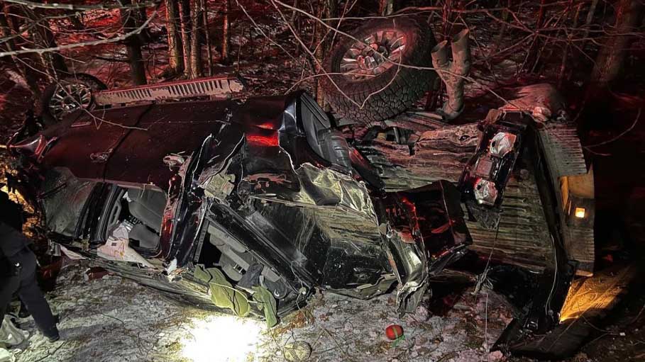 Shiloh Shepherd Dog Tinsley Hailed a Hero for This Miraculous Act
