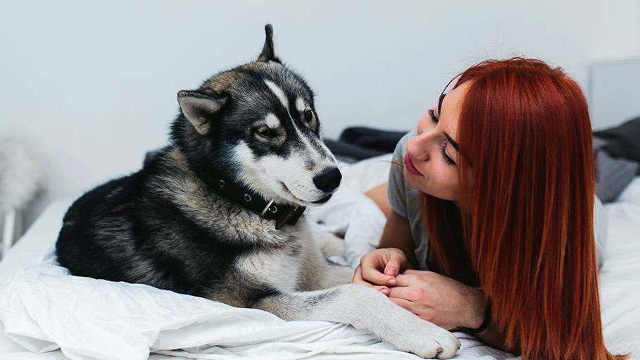 Do Not Let Your Pets Sleep with You: Experts Say Why