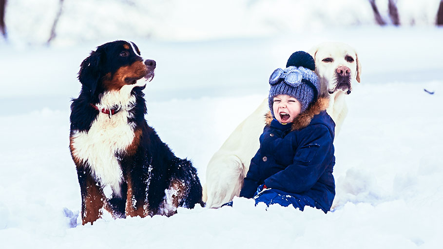 How Therapy Dogs are Helping Children to Cure ADHD