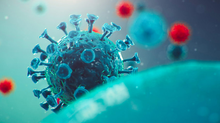 Indian COVID-19 Variant Detected in Belgium: Health Official