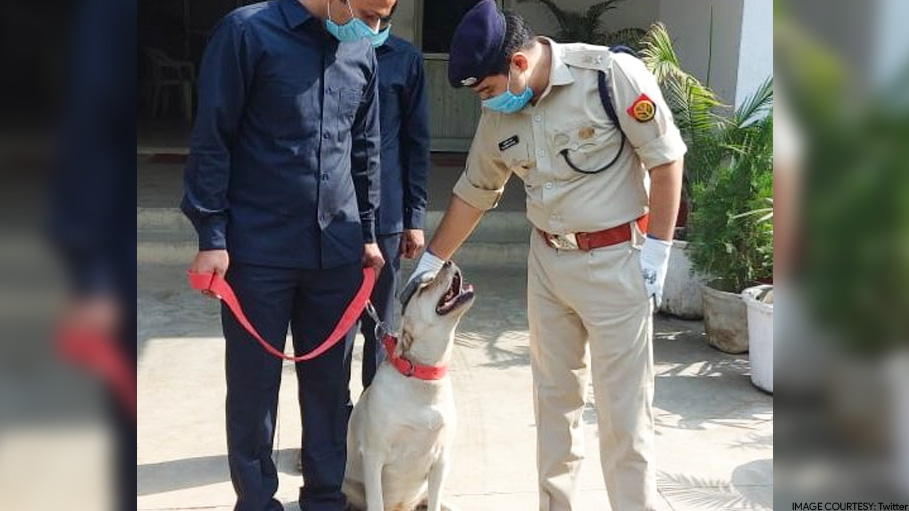 Tracker Dog Leena Helps Ghaziabad Police Solve Blind Murder Case; 3 Arrested