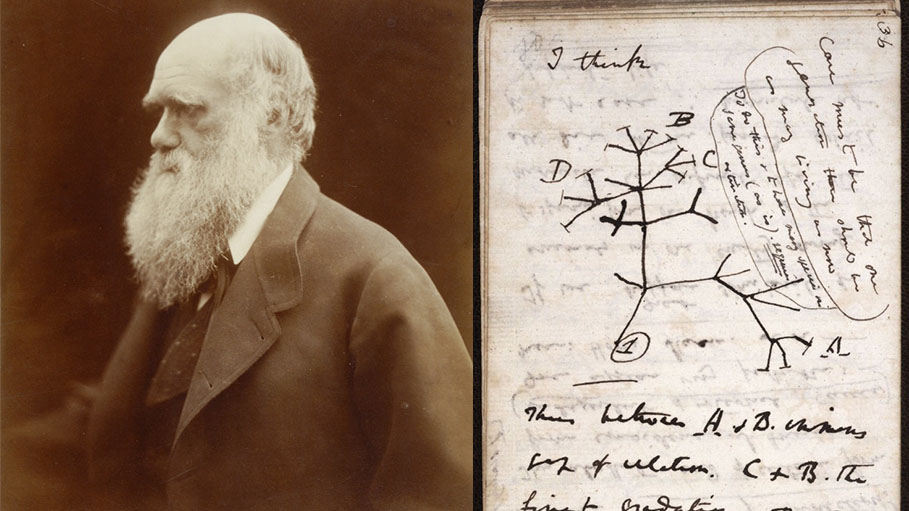 Charles Darwin's Two Notebooks Reported "Stolen" from Cambridge University Library