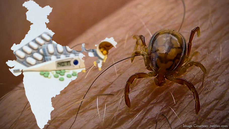 Congo Fever is Back in India: Stay Safe