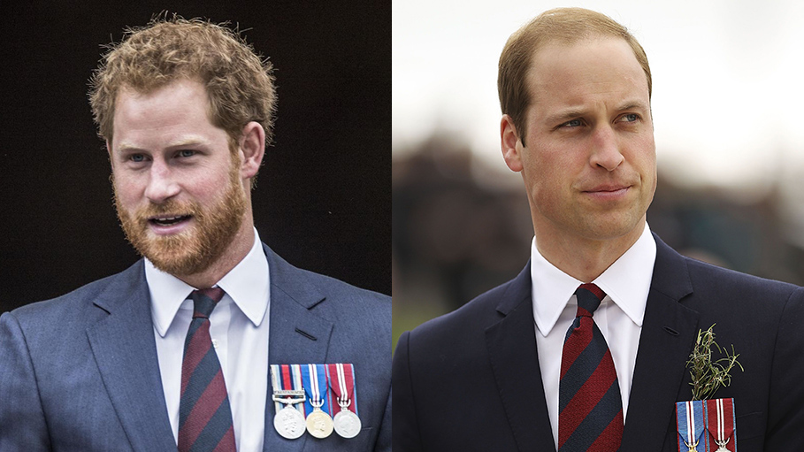 Prince Harry and Prince William are on ‘Different Paths’, Admits Prince Harry