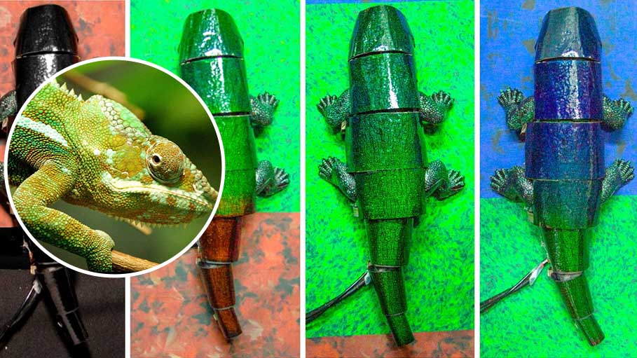 South Korea: Researchers Create Chameleon-Like Artificial "Skin"