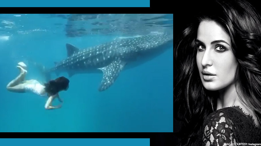 Here’s How Social Media Users Celebrated World Oceans Day