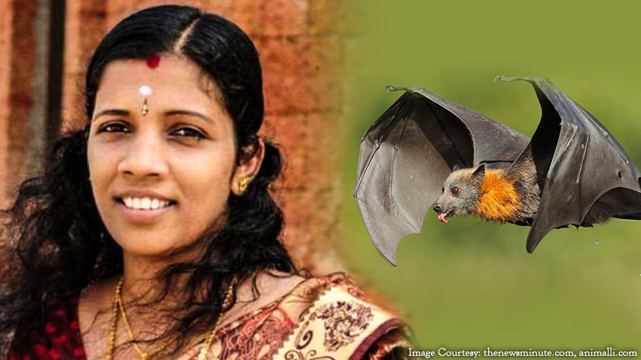 Nipah Virus Kills Brave Nurse Lini, Panic Strikes South India As Death Toll Rises