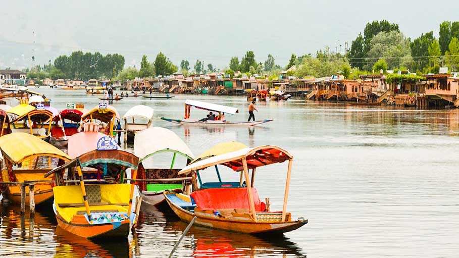 39% of Kashmir's Population Has Developed Covid Antibodies: Sero Survey
