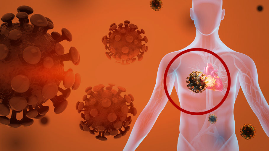 Covid Antibodies Remain High at Least 9 Months after Infection: Study