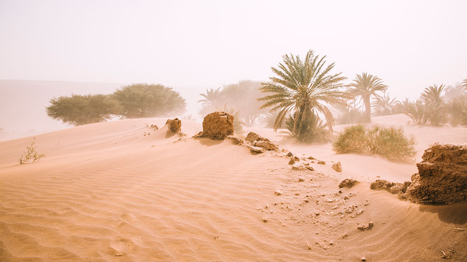 Evidence Found of "Lost" River That Ran Through Thar Desert 172 Thousand Years Ago