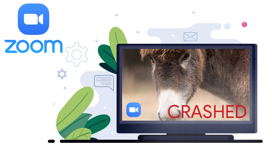 Meet Buckwheat, The Donkey Who Crashes Zoom Meetings for a Price