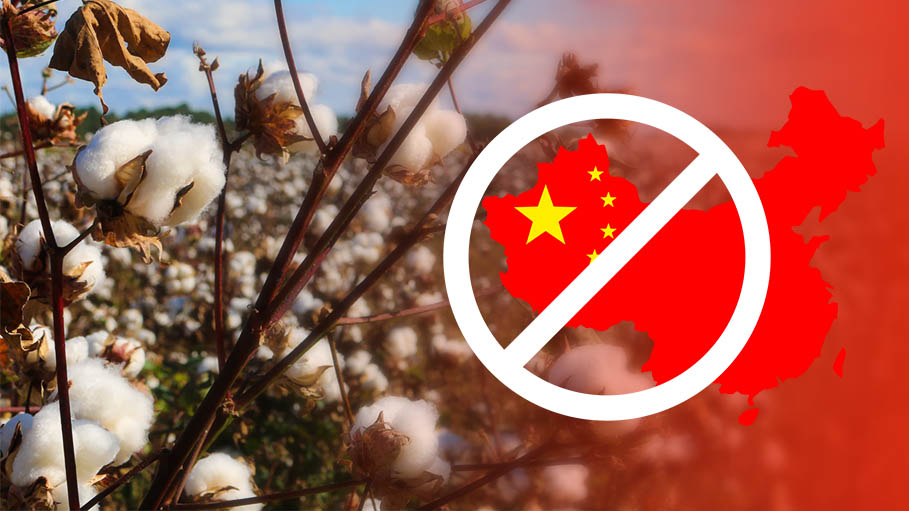 US Blocks Imports of Cotton Harvested with Slave Labour from China