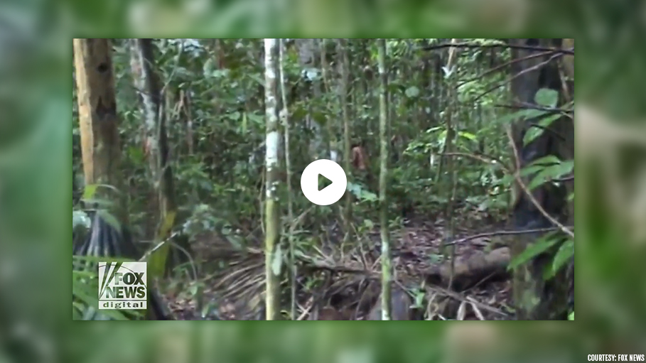 ‘World’s Loneliest Man’ Spotted in Amazon, Watch His Viral Video