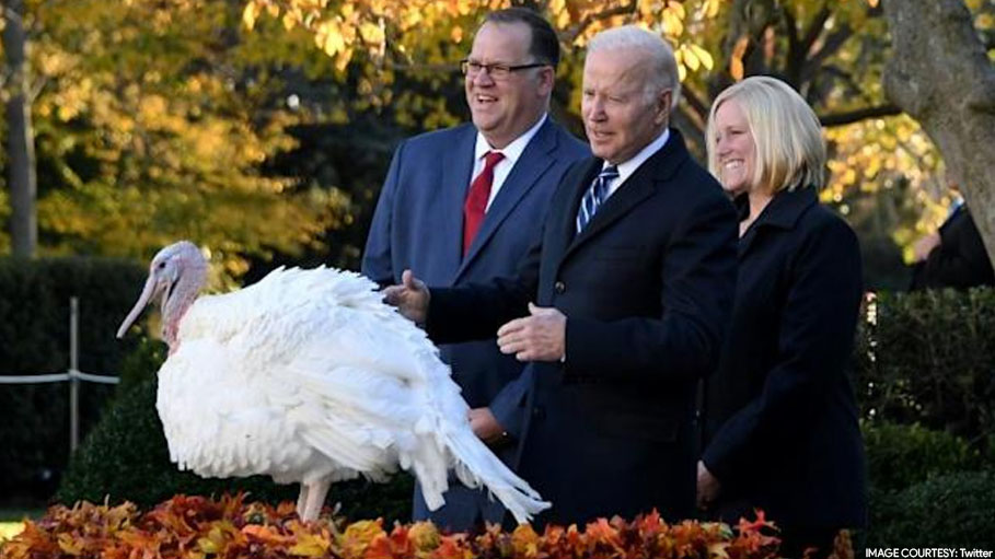 Joe Biden's Presidential Pardon Saves 2 Turkeys from Thanksgiving Event