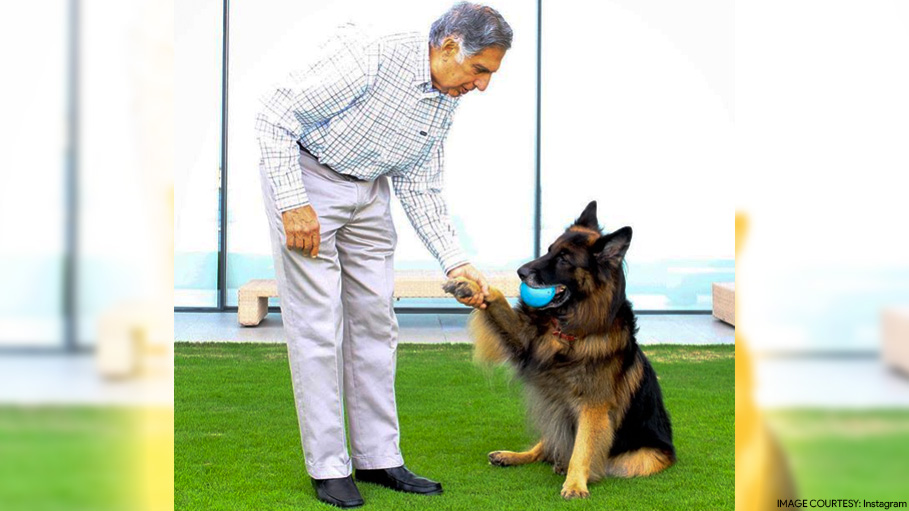 Ratan Tata Wishes His German Shepherd on Its 14th Birth Anniversary on Instagram