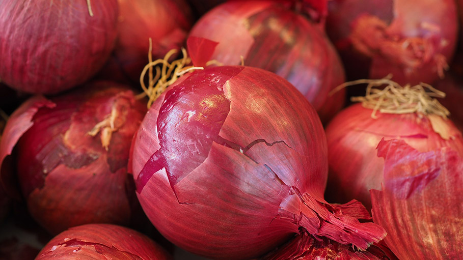 Maharashtra: Farmers in Nashik Unable to Sell Onions at Fair Prices