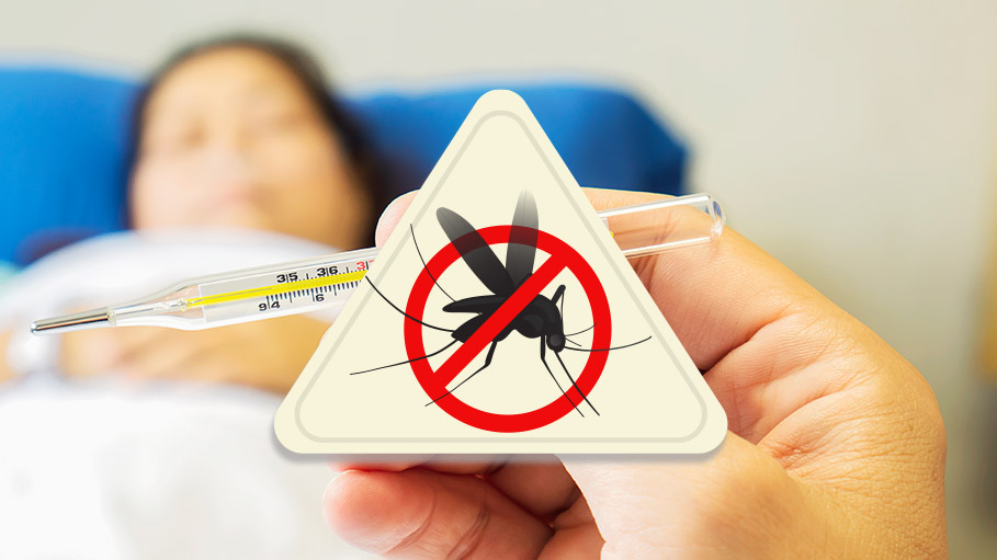 India Sustained Reduction in Malaria Cases Burden: World Health Organization