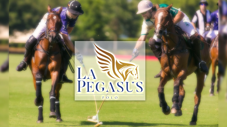 La Pegasus Initiates Step Towards Evolving Polo in India