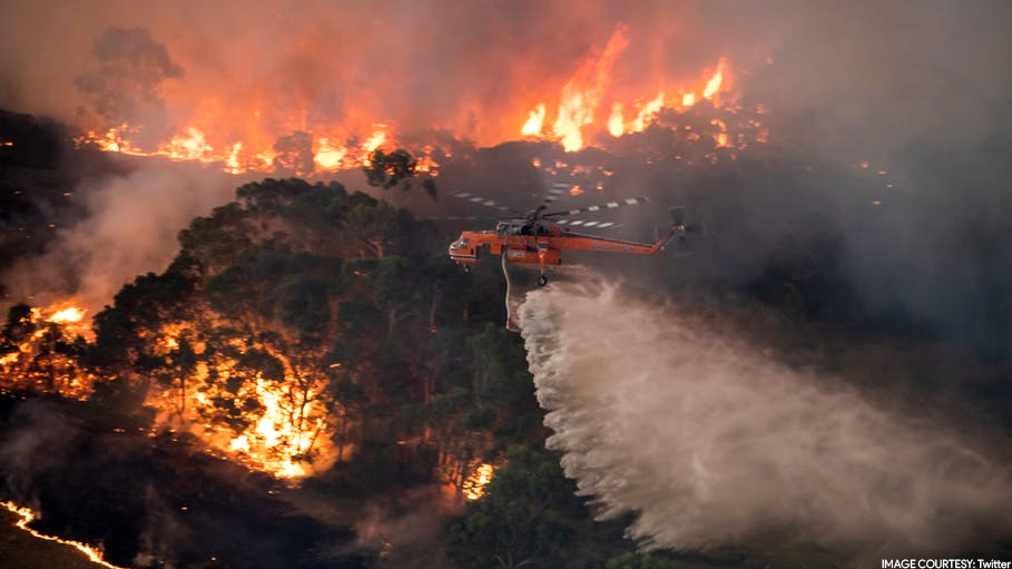 Delta Contributes $250,000 to American Red Cross in Support of Australia Bushfire Relief
