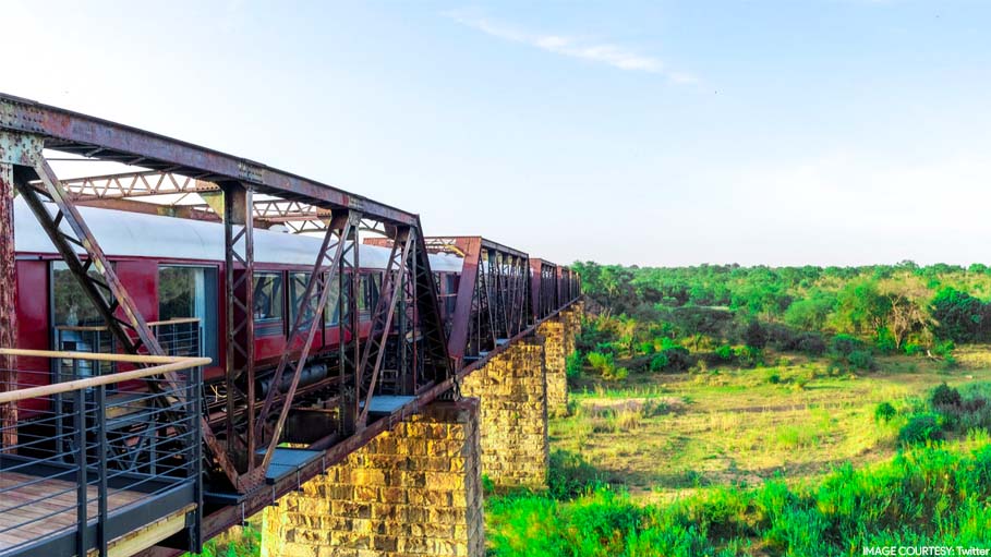 Train in South Africa's Wildlife Reserve Takes Passengers but Never Moves