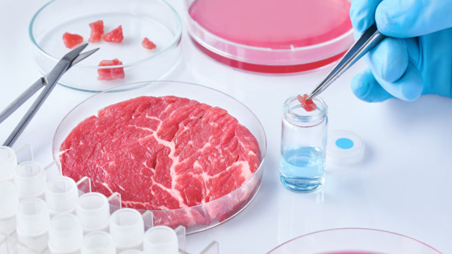 Singapore Becomes First Country to Approve Sale of Lab Grown Clean Meat