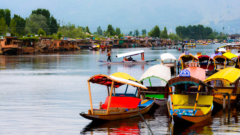 Hope or Despair, Kashmir Clueless