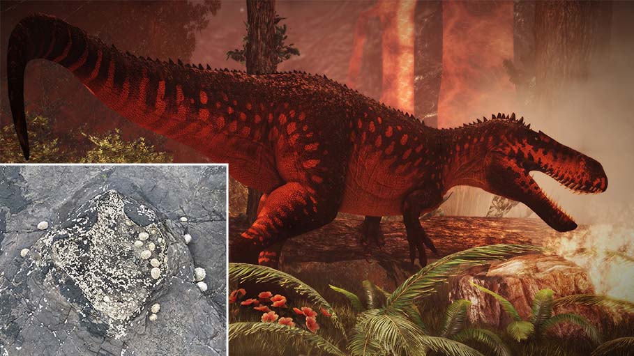 Discovery of Last Dinosaur Footprints on UK Soil 110 Million Years ago Found: Report