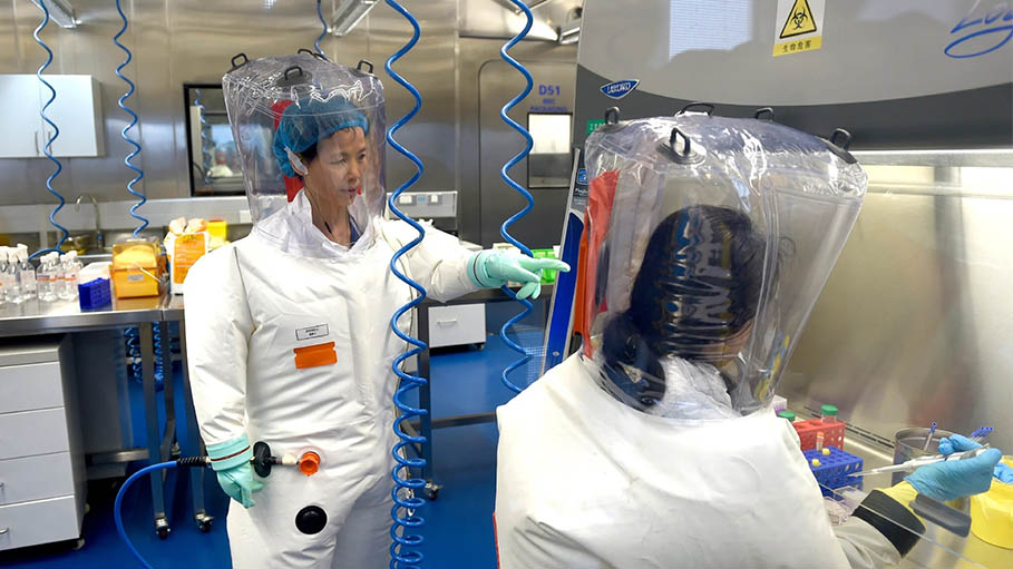 Chinese Scientist at Centre of Covid Controversy Denies Wuhan Lab Leak Theory