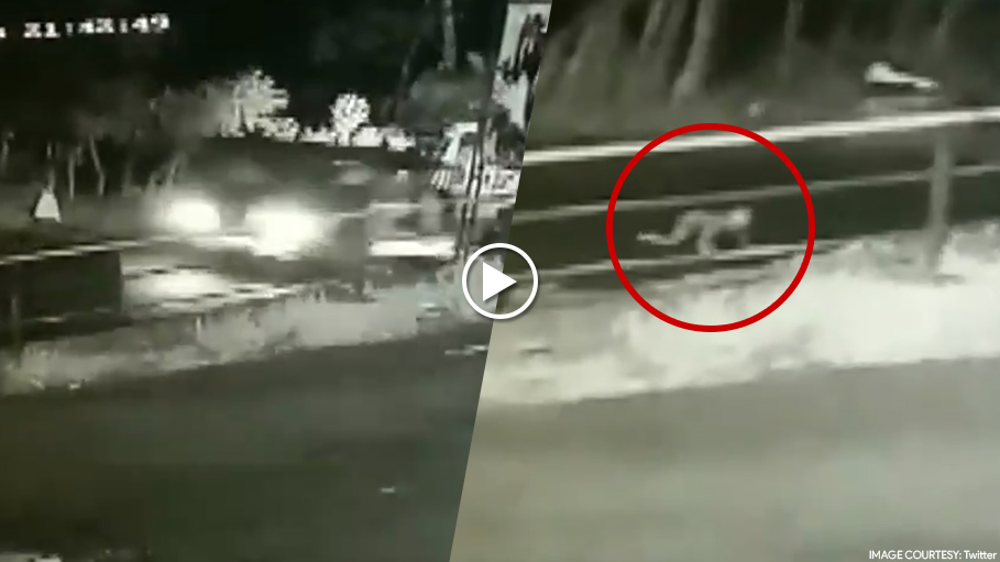 Baby Miraculously Survives After Falling From a Speeding Jeep While Parents Were Asleep
