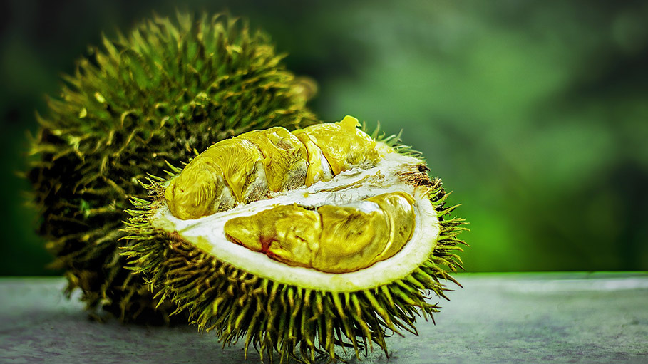 China’s Love for World’s Smelliest Fruit is Threatening Malaysian Forests