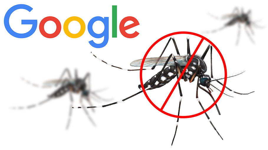 Experimental Plan of Google's Alphabet to Wipe Out Mosquitoes, It Appears to Be Working