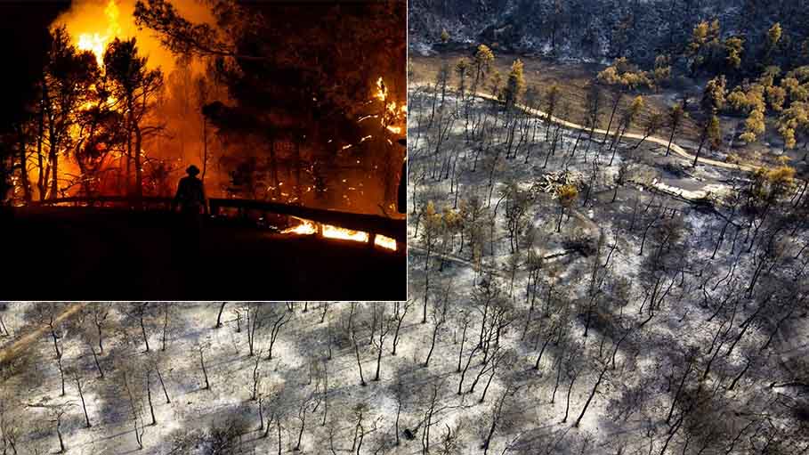 Greece: Over 100,000 Hectares Burned, "Ecological Disaster" from Wildfires