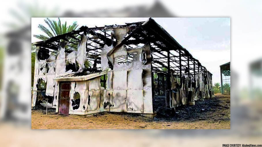 50 Rare Bird Species Killed by Lightening in UAE