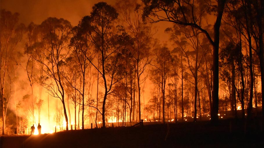 Australia Tells People to Leave Homes as Bushfire Threatens Perth