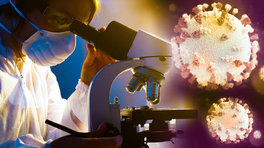 South Africa Scientists Monitor New Covid Variant with High Mutation Rate