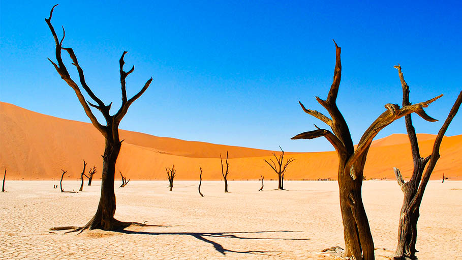 Africa's Global Warming Contribution Least but Consequences "Full"