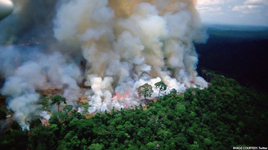 Amazon Rainforest is Burning and This is How Twitterati React to This Environmental Disaster