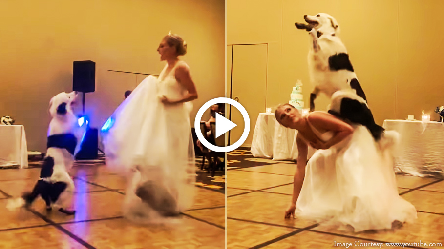 bride dancing with dog