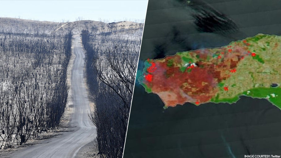 NASA Reveals One Third of Kangaroo Island is Already Burnt