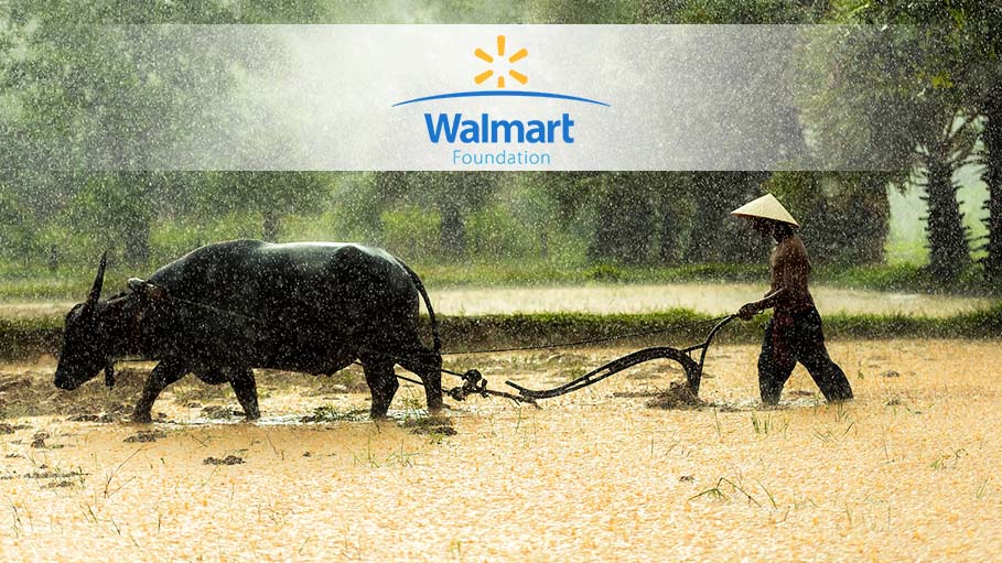 Walmart Foundation Announces 2 New Grants of $10 MN to Benefit 81,000 Small Farmers in India