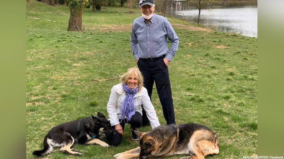 Feline Great: Joe and Jill Biden Get Cat for White House