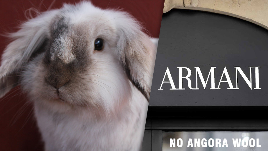 No Angora Wool, Please: Armani Fashion House Now Has a Fur-Free Policy
