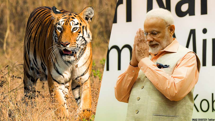 International Tiger Day 2019: “India is One of the Safest Habitats for Tigers”, Says Modi