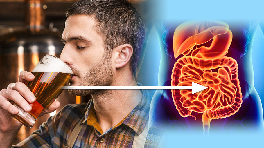 Felt Those Hunger Pangs Right after Booze? Know the Reason behind It