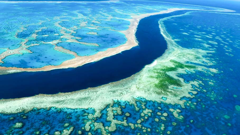 Australia’s Great Barrier Reef Avoids UNESCO "in Danger" Listing