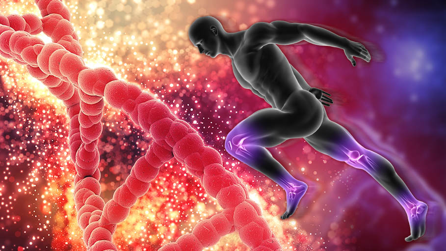New Research Has Proved That the Study of Genetics Can Change the Physiology